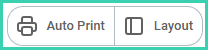 The auto print button is disabled.