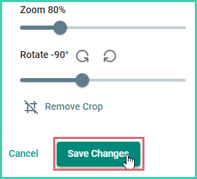 Save Changes button to save image edits