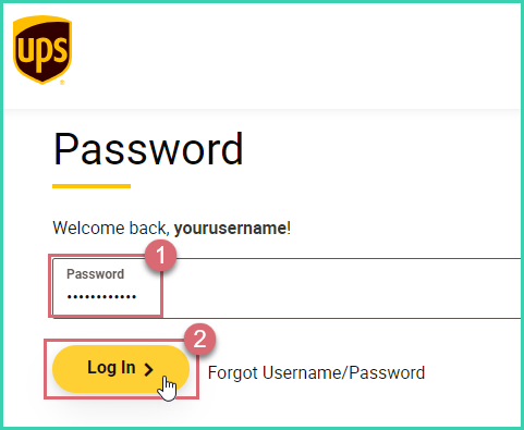 The password is entered and the log in button is being clicked.